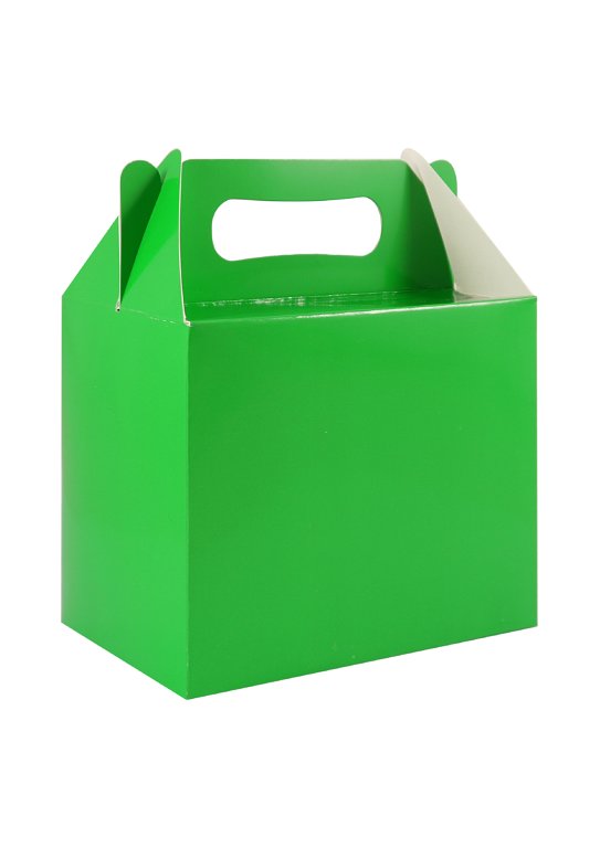 6 Green Party Lunch Boxes